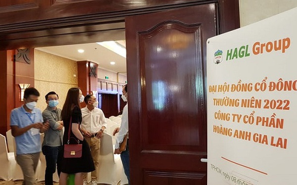 VPBank Securities and Viet Cat Fund want to spend 1,700 billion VND to buy HAG shares