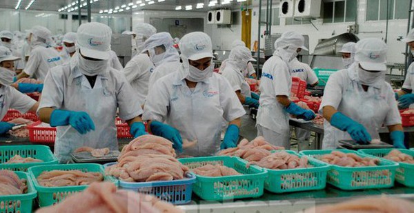 6 more pangasius factories allowed to export to the US