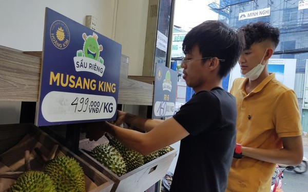 Stunned with the price of Musang King durian grown in Vietnam