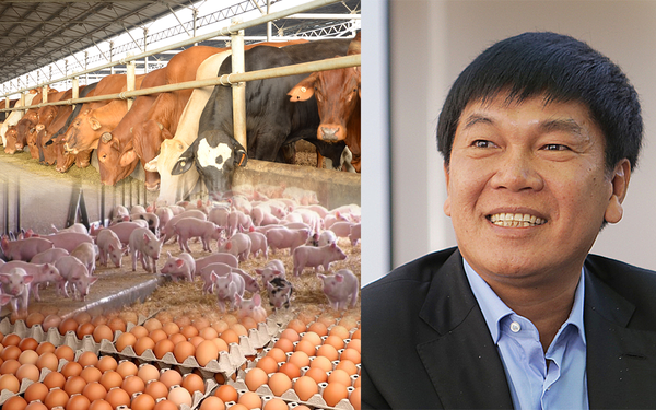 Hoa Phat’s agricultural segment suffered a loss for the second quarter in a row