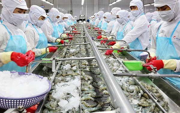 Kinh tế Việt Nam sẵn sàng hồi phục