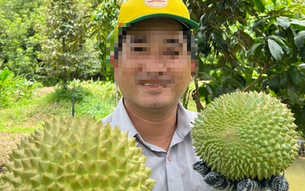 Unexpected revelation about the man who sells durians for 800,000 VND/kg