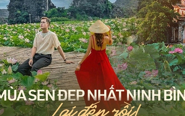 Đừng bỏ lỡ mùa sen đẹp nhất Ninh Bình: Góc nào đứng vào cũng ngút ...