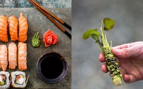 Why is fresh wasabi root served with Japanese sushi always the most expensive in the world?