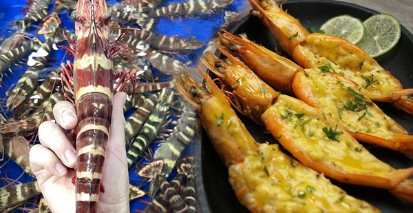 The type of shrimp costs 950k / kg, more expensive than lobster, which many people “hunt” to enjoy