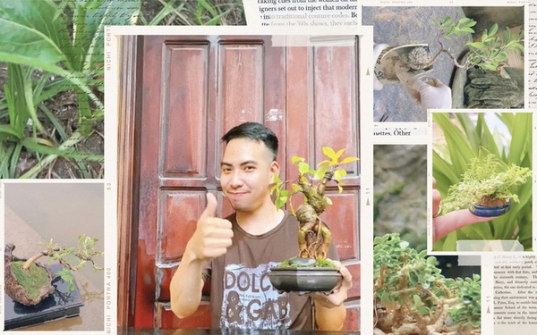 The father specializes in wandering “picking up garbage digging trees” to make bonsai to earn millions, demanding to buy the whole house just to pull up every sprout that grows on the wall!