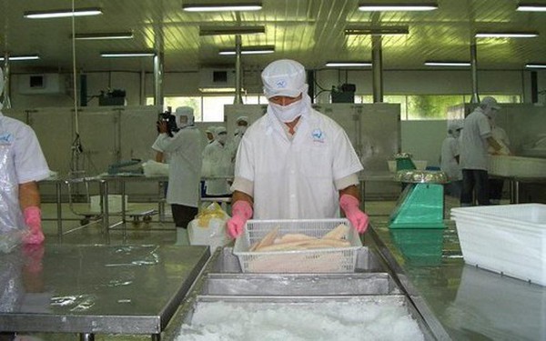 Vietnamese seafood seizes a “golden” opportunity