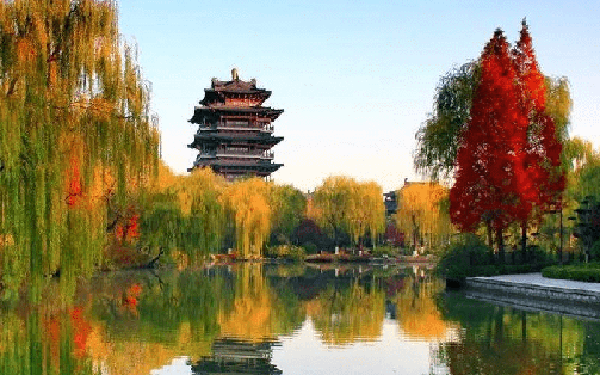 Hiện tượng lạ ở hồ nước đẹp như phim cổ trang ở Trung Quốc: Ếch ...