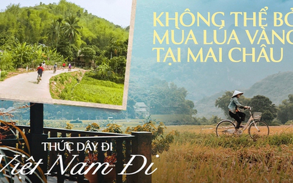 Mai Chau is the “paradise” of the most beautiful early summer rice in the Northwest, attracting many young people to take pictures.