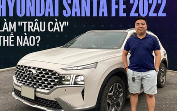 ‘Happy, thrifty, why choose Fortuner by the majority’