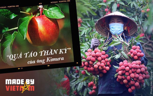 From the story of “miracle apple” of Japan, see the great potential of Vietnam