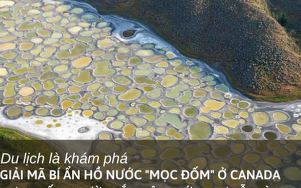 Lý giải bí ẩn hồ nước “mọc đốm” ở Canada: Nơi khiến người mắc hội chứng sợ lỗ "rùng mình"