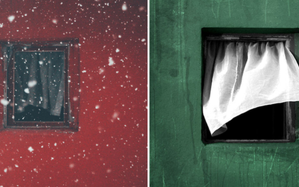 Tranh decal dán tường Combo 2 tranh cây khung ảnh + khung cửa sổ xanh |  Shopee Việt Nam
