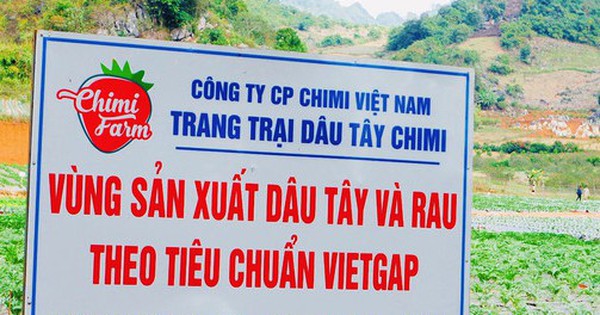 Chứng nhận VietGAP “xịn” có dễ đạt hay không?