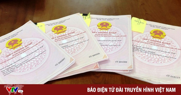 Những cuốn sổ đỏ giả được mang đi thế chấp vay tiền. Ảnh: Báo Khánh Hòa Những cuốn sổ đỏ giả được mang đi thế chấp vay tiền. Ảnh: Báo Khánh Hòa