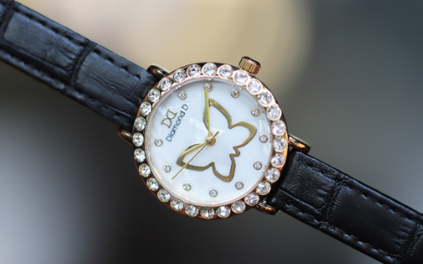 Mua Đồng hồ nữ Diamond D DM38445 - Size mặt 24 mm tại Đăng Quang Watch |  Tiki