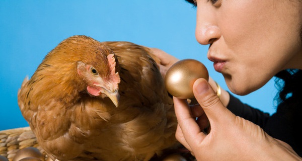 Con gà đẻ trứng vàng của FPT sắp lên sàn Upcom với mã chứng khoán FOX