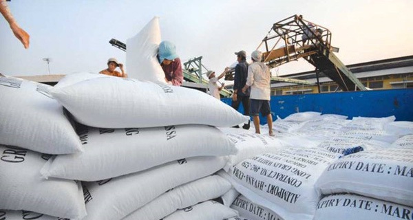 1 năm buồn cho hạt gạo Việt