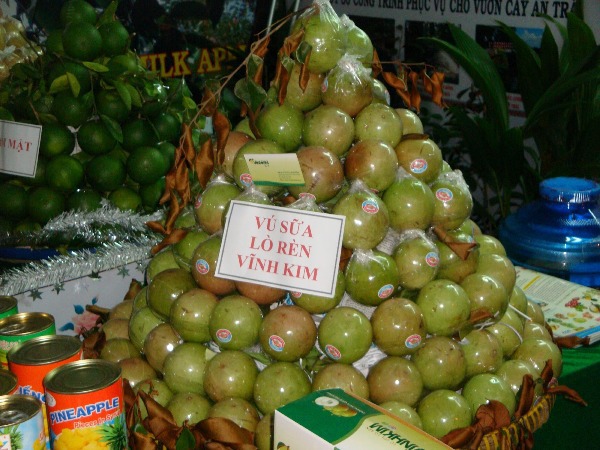 Đây là loại trái cây duy nhất chỉ có Việt Nam xuất khẩu và Mỹ vừa phải nhập khẩu