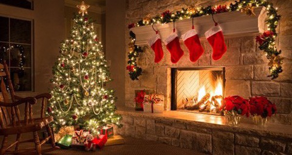 Nhiều người vô tư trồng cây thông Noel trong nhà mà không biết đến hậu quả này