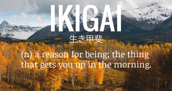 Ikigai - Triết l&#253; l&#224;m việc tới gi&#224;, b&#237; quyết hạnh ph&#250;c của người Nhật Bản
