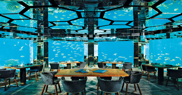 Thưởng thức bữa tối tuyệt vời ở nh&#224; h&#224;ng dưới đại dương tại thi&#234;n đường du lịch Maldives