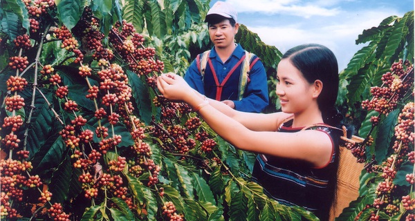 Thủ tướng đã có lời giải cho bài toán phát triển nông nghiệp Việt Nam