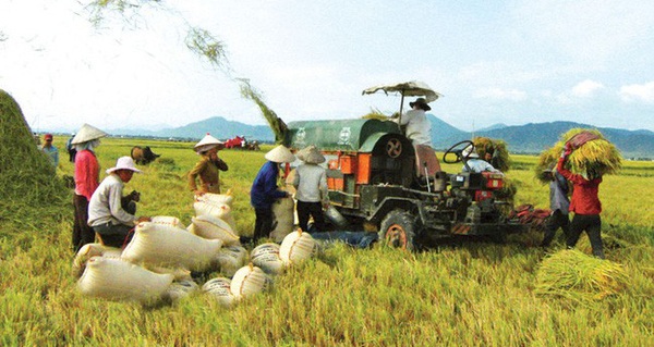 L&#224;m thế n&#224;o để đưa thương hiệu gạo Việt ra thế giới?