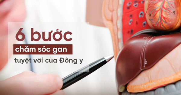 C&#225;ch chăm s&#243;c gan của người xưa c&#243; g&#236; kh&#225;c nay, 6 b&#237; mật đơn giản ai cũng n&#234;n tham khảo!