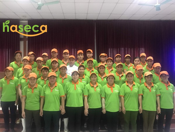 Haseca: 12 năm tận tâm với những suất ăn công nghiệp xanh, sạch