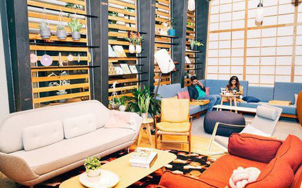 JLL: Co-living v&#224; co-working đang l&#224; mảng ăn tiền lớn tại Việt Nam