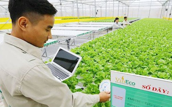 "Đại gia" Việt liên tiếp nhảy vào nông nghiệp công nghệ cao