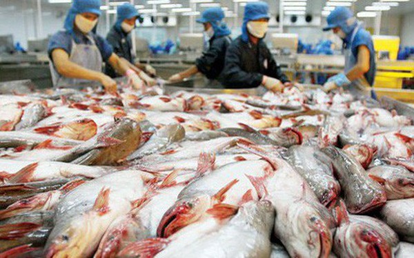 Việt Nam kiến nghị với WTO về việc Mỹ hạn chế nhập khẩu cá tra, cá basa