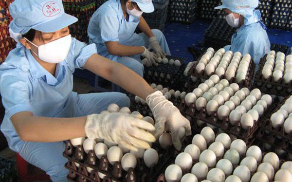 Nhìn từ thương vụ Ba Huân – VinaCapital: Doanh nghiệp Việt ra biển lớn bằng thúng chai!