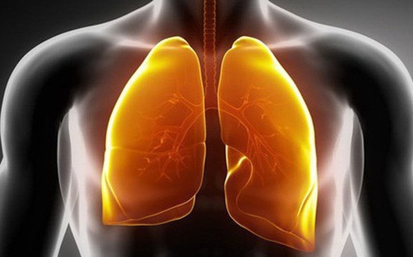 Hút thuốc khiến phổi bị 'nhuộm' đen và sinh bệnh: Cách thanh lọc phổi bạn nên áp dụng sớm