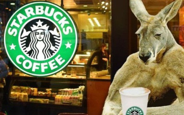 C&#226;u chuyện của Starbucks ở &#218;c: B&#224;nh trướng qu&#225; nhanh để rồi bật b&#227;i kh&#244;ng k&#232;n kh&#244;ng trống