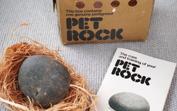 Kết quả hình ảnh cho PetRock