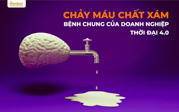 “Chảy máu chất xám” - Bệnh chung của doanh nghiệp Việt thời 4.0