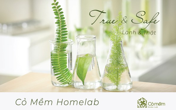 Cỏ Mềm – H&#224;nh tr&#236;nh của một doanh nghiệp mỹ phẩm thuần Việt mang th&#244;ng điệp đẹp an to&#224;n đến với người Việt