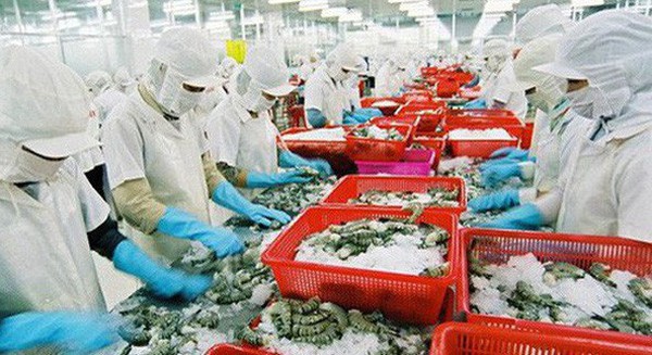 Các "ông vua" thá»§y sản liên tiếp gặp khó: "Vua tôm" Minh Phú bá» cáo buá»c tránh thuế, "Vua cá" Hùng Vương kinh doanh trục trặc