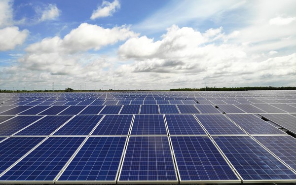 Tập đoàn Bamboo Capital khánh thành nhà máy điện mặt trời đầu tiên, tổng mức đầu tư 1.088 tỷ đồng