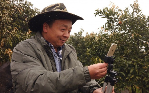Không phải KOL, nông dân trồng rau nuôi cá mới là cái tên vàng trong làng livestream ở Trung Quốc, phát trực tiếp 1 lần bán hết 1.000 tấn cam trong 13 ngày