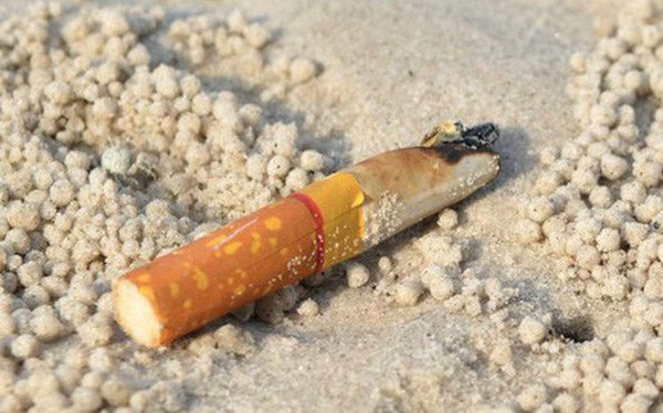 Hơn 60 triệu đầu lọc thuốc lá trong đại dương có thể đã giải phóng asen, chì và nicotin vào thực phẩm bạn ăn