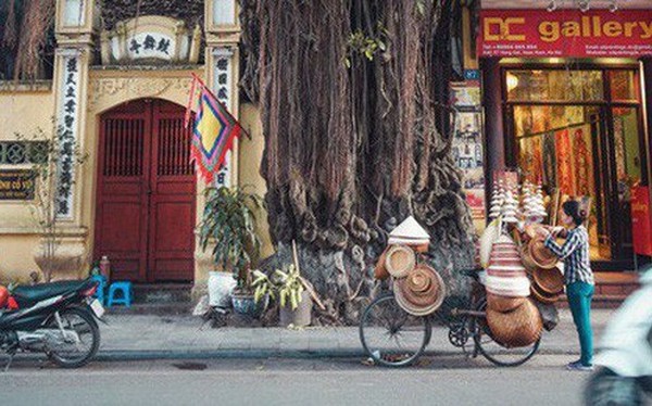 Việt Nam được tạp chí Forbes bình chọn là 1 trong 14 điểm đến của năm 2019