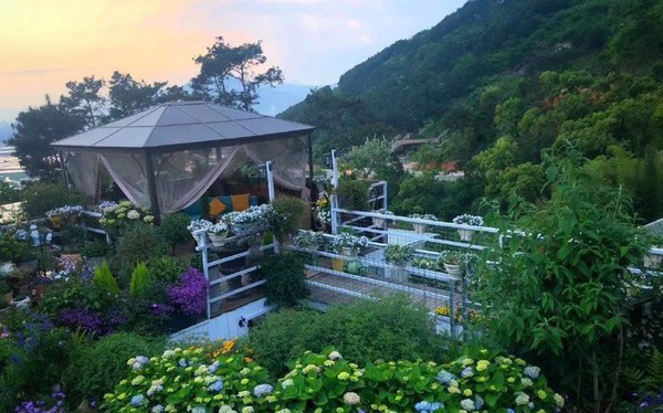 Người phụ nữ 40 tuổi nghỉ hưu sớm, dùng tiền dành dụm cả đời để đổi lấy khu vườn rực rỡ như thiên đường trên đồi hướng biển