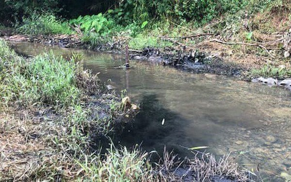 Lời khai ban đầu của 2 đối tượng trong vụ đổ dầu thải gây ô nhiễm nguồn nước sông Đà