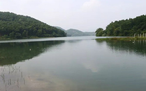 Sau vụ ô nhiễm nguồn nước, Hòa Bình 'đòi' Công ty nước sạch Sông Đà trả hồ Đầm Bài
