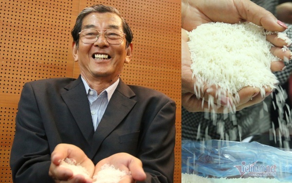 Gặp “cha đẻ” của giống gạo Việt ngon nhất thế giới