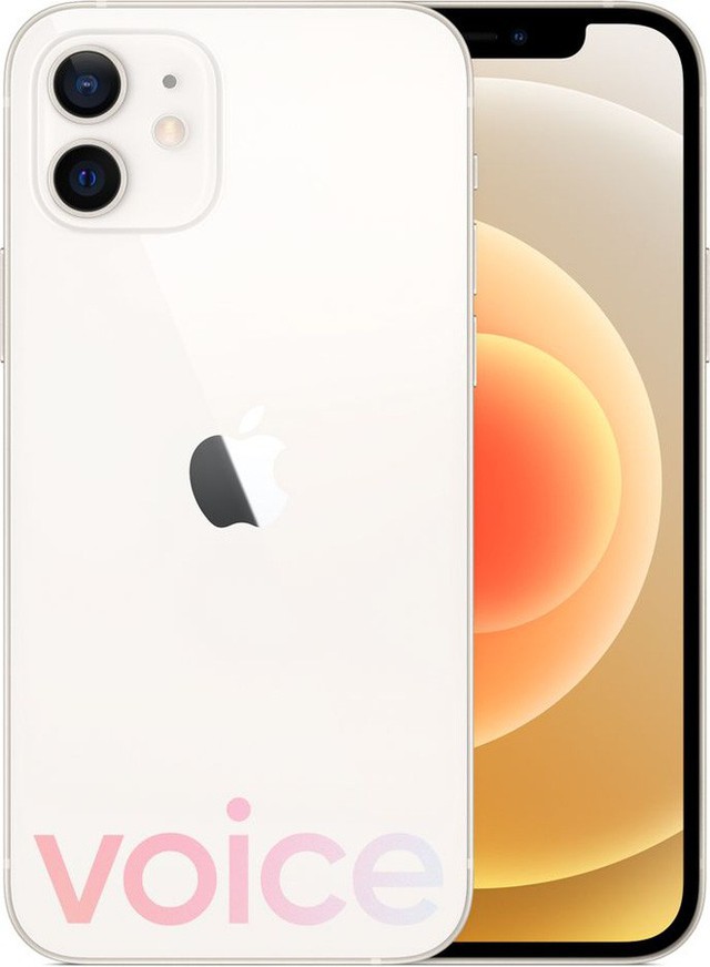 Loạt iPhone 12 lộ ảnh render trước giờ ra mắt, có màu xanh biển hoàn toàn mới - Ảnh 8.