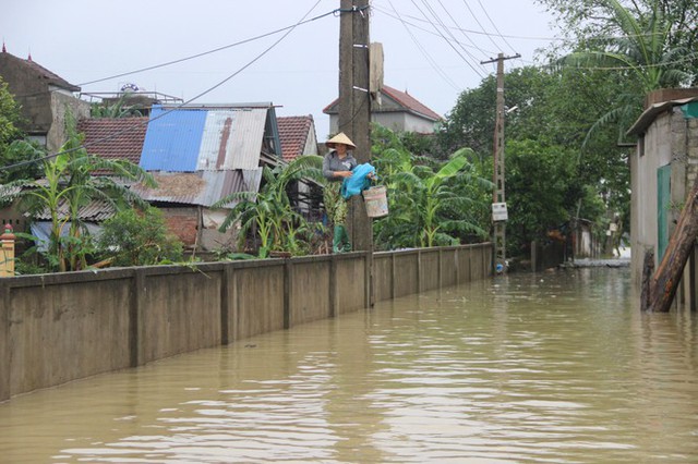Nước sông Lam dâng cao, Nghệ An ngập lụt trên diện rộng - Ảnh 4.